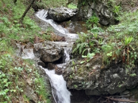 Calchere