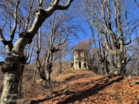 Il Roccolo